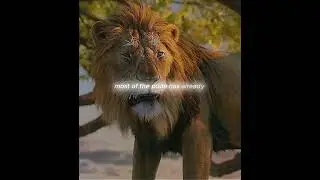 Part 6 | Mufasa The Lion King (2024) - The Seed of Betrayal 😨