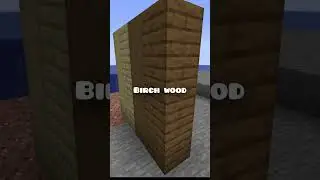 Why does birch get hated? #minecraft #minecraftlore #explained