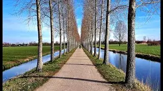 Netherlands 2023 vx
