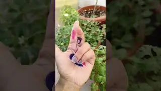 Нужна твоя любовь, нужно твое время, все не так, сделай меня правым #искусство #статусискусства