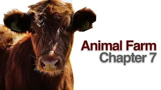 Animal Farm Chapter 7