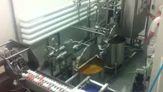 LIQUID EGG COMPACT PASTEURIZING LINE 9.000 L/H