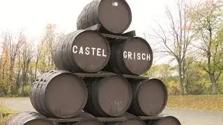 Drought conditions and how it impacts wine