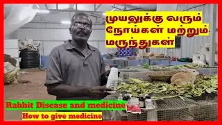 Rabbit Disease and medicine/முயலுக்கு வரும் நோய்கள் மற்றும் மருந்துகள்/How to give medicine./முயல்/