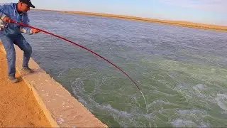 شاهد المتعه والاثاره fish