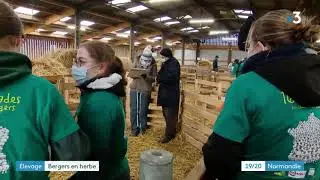 Ovinpiade 2021 Lyc&eacute;e agricole Yvetot