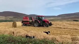 Harvest 3 in 2020 Scotland