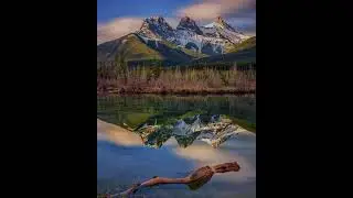 Отдохните, здесь спокойно :з #relaxing #sleep #спокойствие #радость
