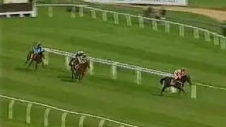 1996 Mitie Group Hurdle : Mole Board's last race