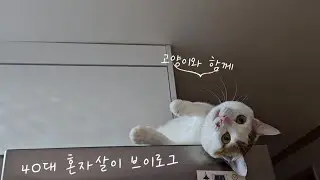 고양이와 함께 사는 1인가구 1월 2주 브이로그