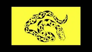Mule Driver - Rolled Up Celluloid