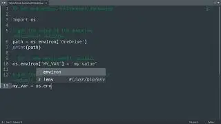 Set and access environment variables in Python | Python Examples | Python Coding Tutorial