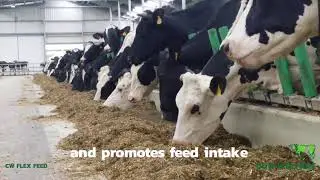 Get to know: Cow-Welfare Flex Feed