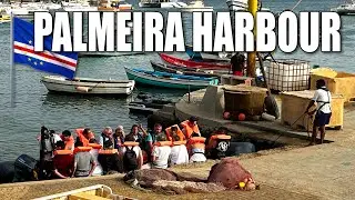 &laquo;Палмейра&raquo; &mdash; недооцененный маленький городок Сал 🏝, порт/морской порт острова Сал, в 4 км к запад...