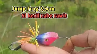 Test Action Jump Frog 3,5cm // Jump Frog Mini Super Killer
