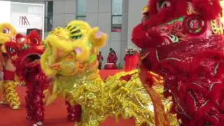 FLAAR at APPPEXPO 2017 | Opening Ceremony