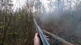 becasse gironde julio narko 13 12 24