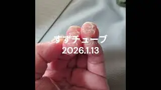 すずチューブ　2026.1.13