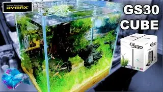 DYMAX CUBE AQUARIUM ~ Dymax GS30 Aquascape и обзор!