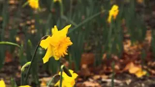 Biodiversity & the Seasons: a National Science Week event