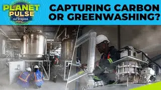 Kenyan Start Up's Carbon Capture Project: Climate Initiative Or Eyewash? |Planet Pulse | N18G