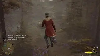 HOGWARTS LEGACY: Merlin Trials Platforming Cheese