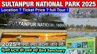 🦩Sultanpur National Park Gurugram 2025 | Sultanpur Bird Sanctuary Gurgaon | Ticket Price, Timings 