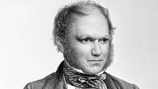 Getting to know Darwin's science