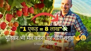 Strawberry Farming &Business Ideas|Strawberry ki Kheti Kab, Kaise, Kahan Hoti Hai@technicalfarmer20 