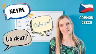 🗣️ Learn Present & Future Verb Forms in Common Czech