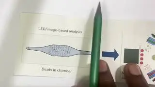 LED/Image Based Analysis | Confocal Microscopy | Fluorescence Microscopy
