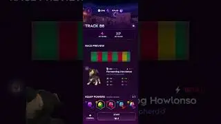 Fernandog Howlonso's Dogami Track B9 Run