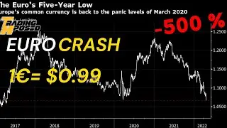 The Fall of Euro, And How I Profited from the Crash