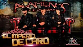 Tan Perfecta - Los Alame&ntilde;os de la Sierra 2016 - 2017