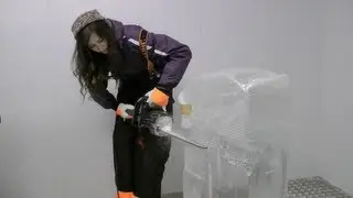 WE ICE SCULPTED