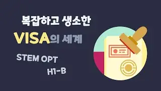 STEM OPT 와 H1B 샅샅이 살펴보기