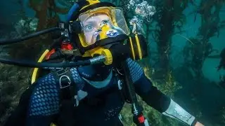 Advanced collection of 2025 scuba diving gear dresses ideas