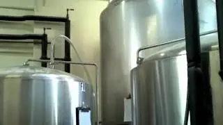 Telegraph Brewery Visit