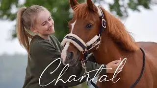 Ehemaliges Rohepony Chantal