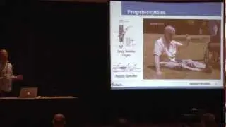 Prediction of sensory reweighting and feedback gains in human postural control