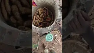 Concrete in drum cassava peeling machine