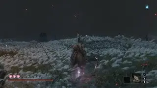 Day 16 of defeating isshin till the next from software game comes out (No gourds, No prosthetics)