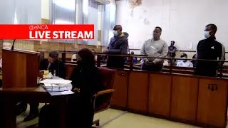 Mpumalanga MEC Mandla Msibi back in court for bail application