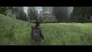 The Last of Us (TLOU) Part Two DLSS 4.0 vs 4.5 Preset K,L,M in UWQHD
