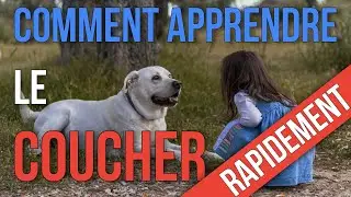 [TUTO] COMMENT APPRENDRE LE COUCHER A SON CHIEN