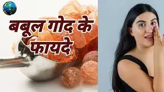 बबूल गोंद के फायदे |Babul Gond ke Fayde|Babul gond khane ke Fayde|