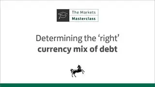 How to determine the ‘right’ currency mix of debt