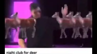 deer posting