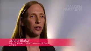 What is the role of a HR Director?