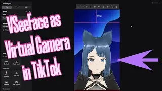 VSeeFace Virtual Cam on TikTok Live | Easy Setup Guide 😉